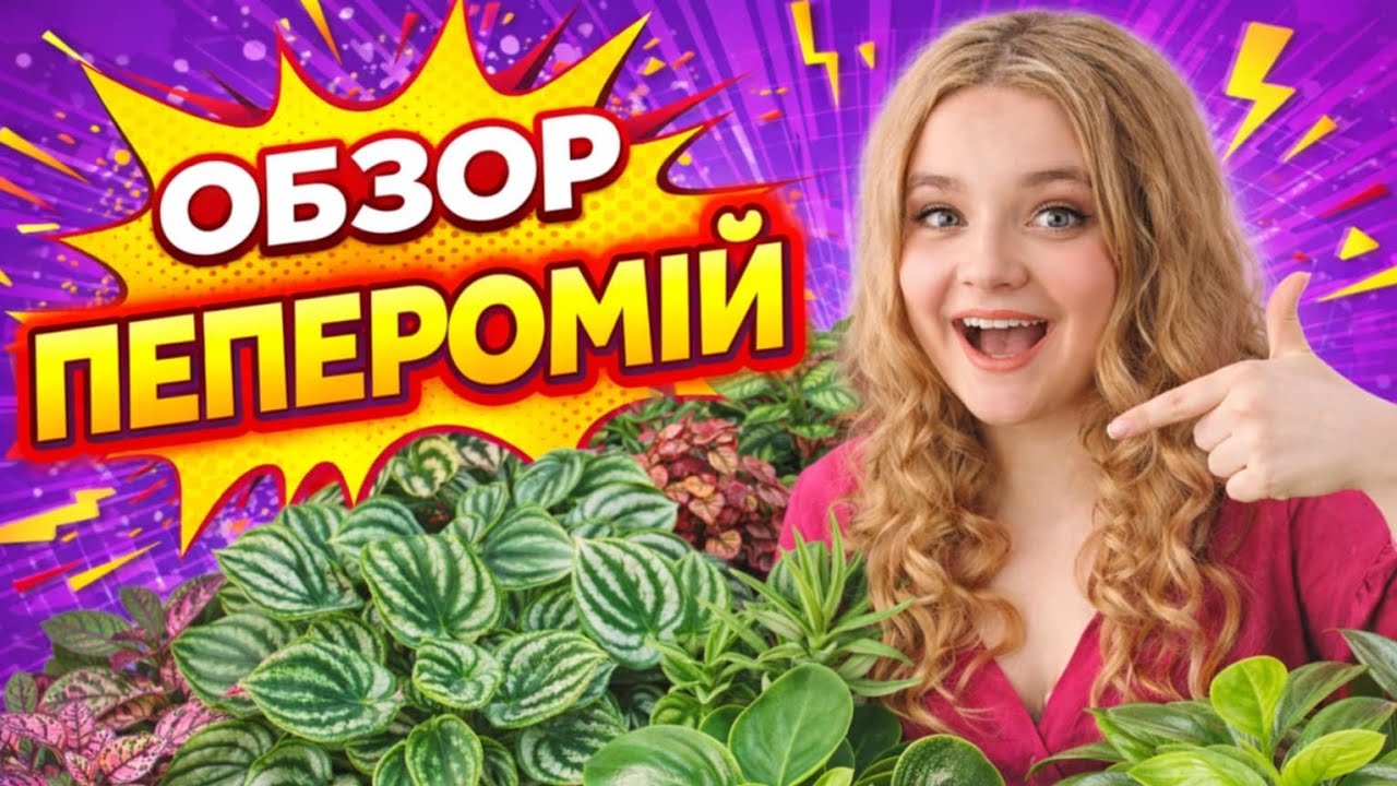 Обзор ПЕПЕРОМІЙ Частина 3 