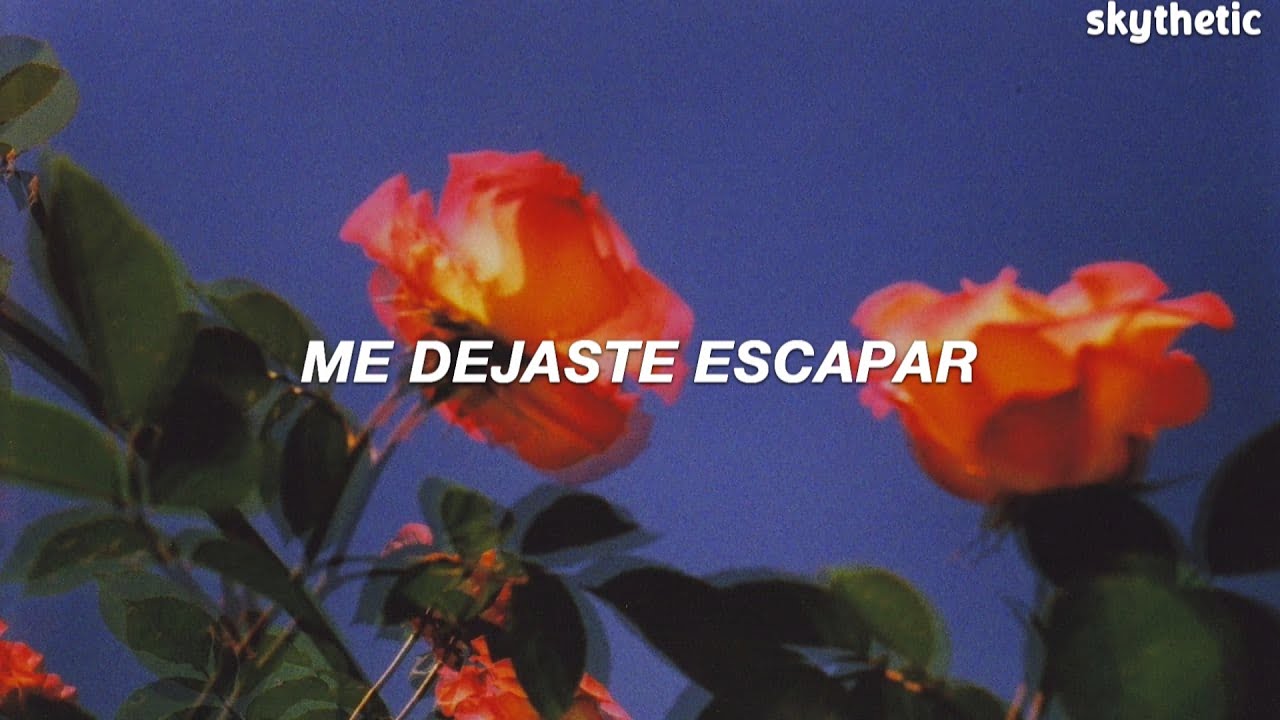 MARINA - Flowers | Traducida al Español