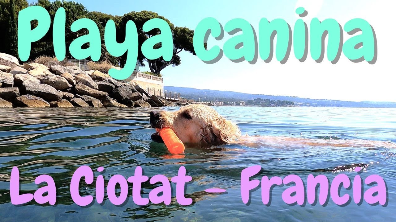 Playa Canina La Ciotat