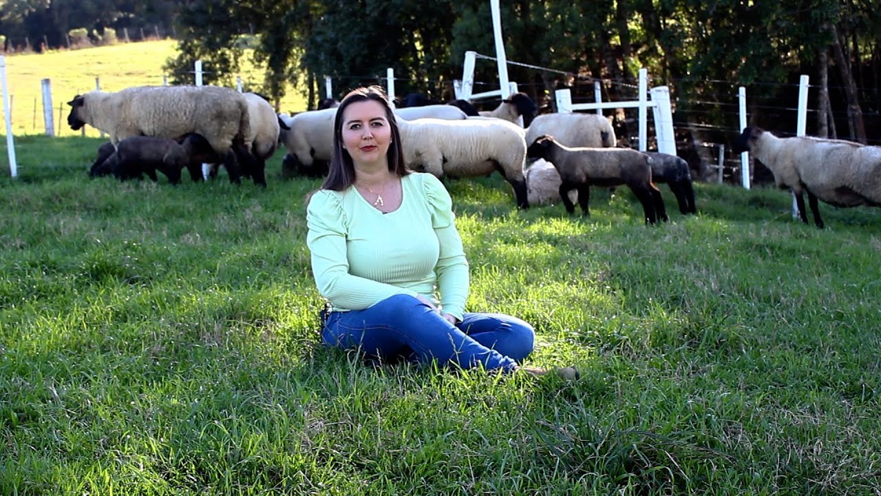 CRIAÇÃO DA RAÇA SUFFOLK PARA CORTE!