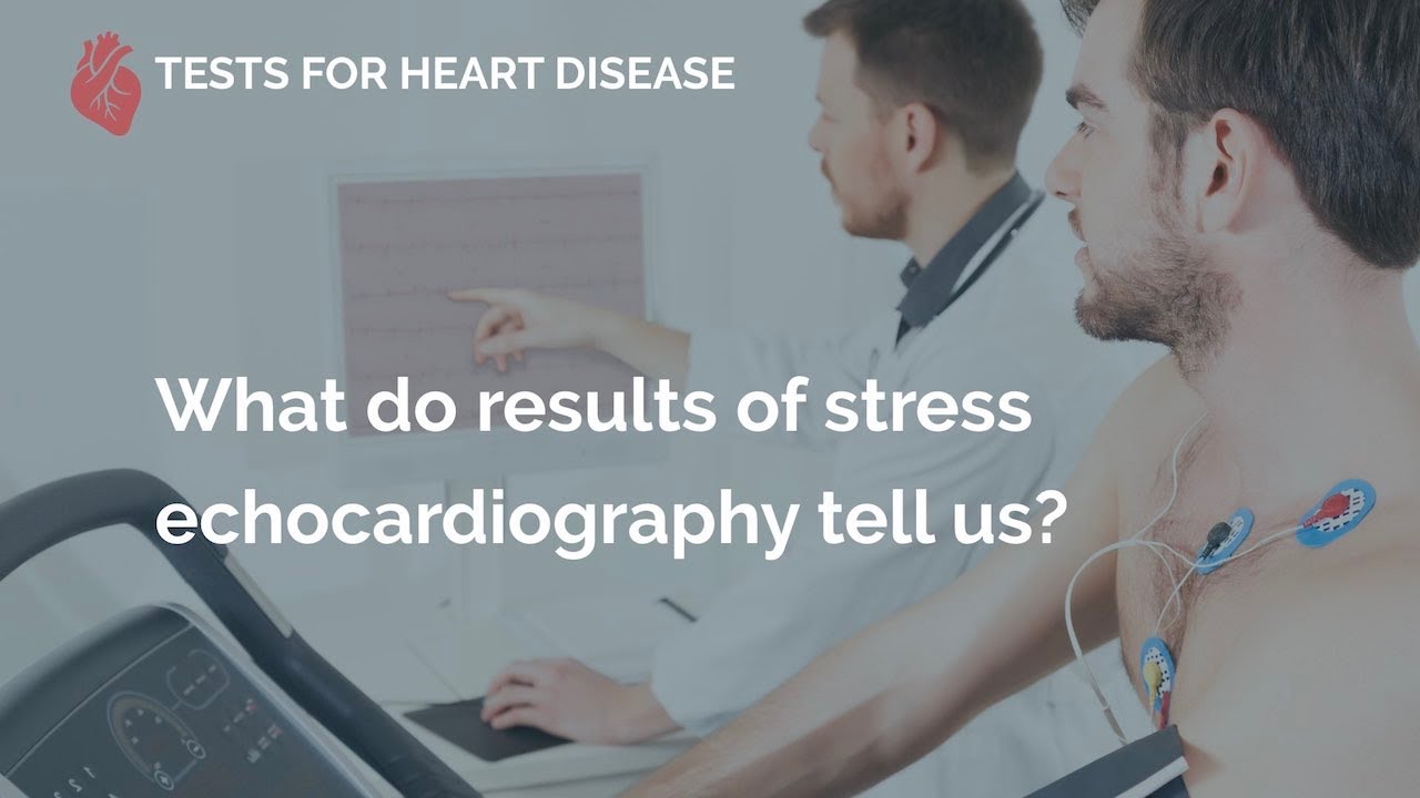 What do results of stress echocardiography tell us?