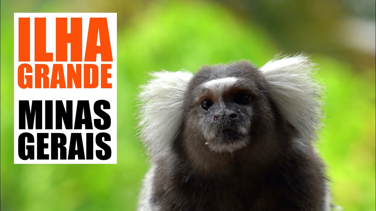 Ep.28 : Ilha Grande et Minas Gerais, Brésil