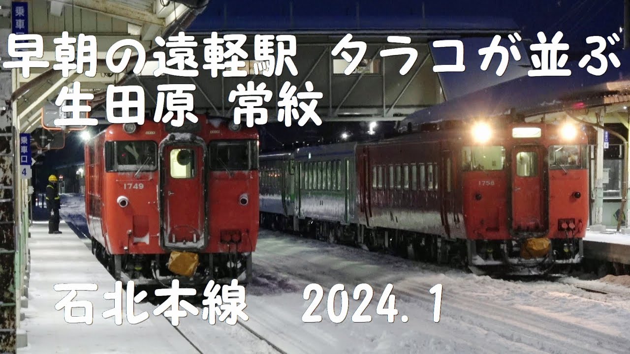 早朝の遠軽駅 タラコが並ぶ 生田原 常紋 キハ40 2024.1.17