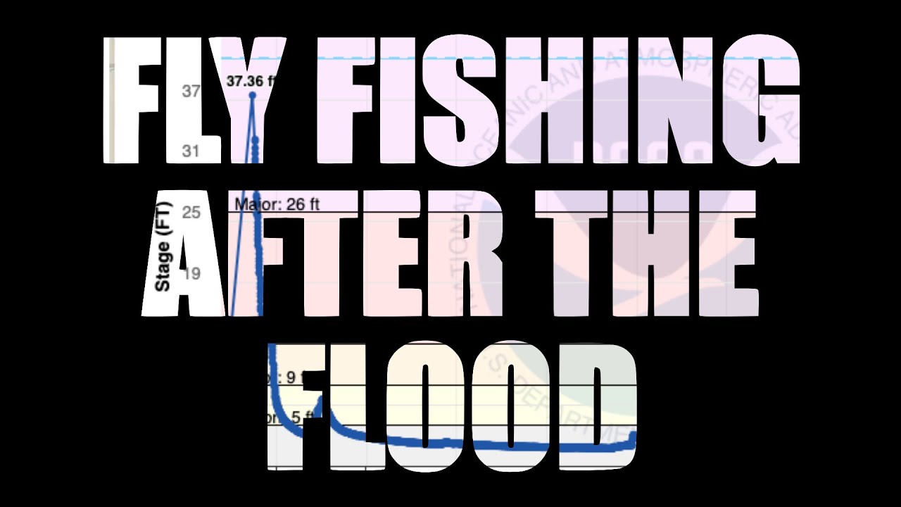 Fly Fishing After The Flood | S. San Gabriel River, Central Texas