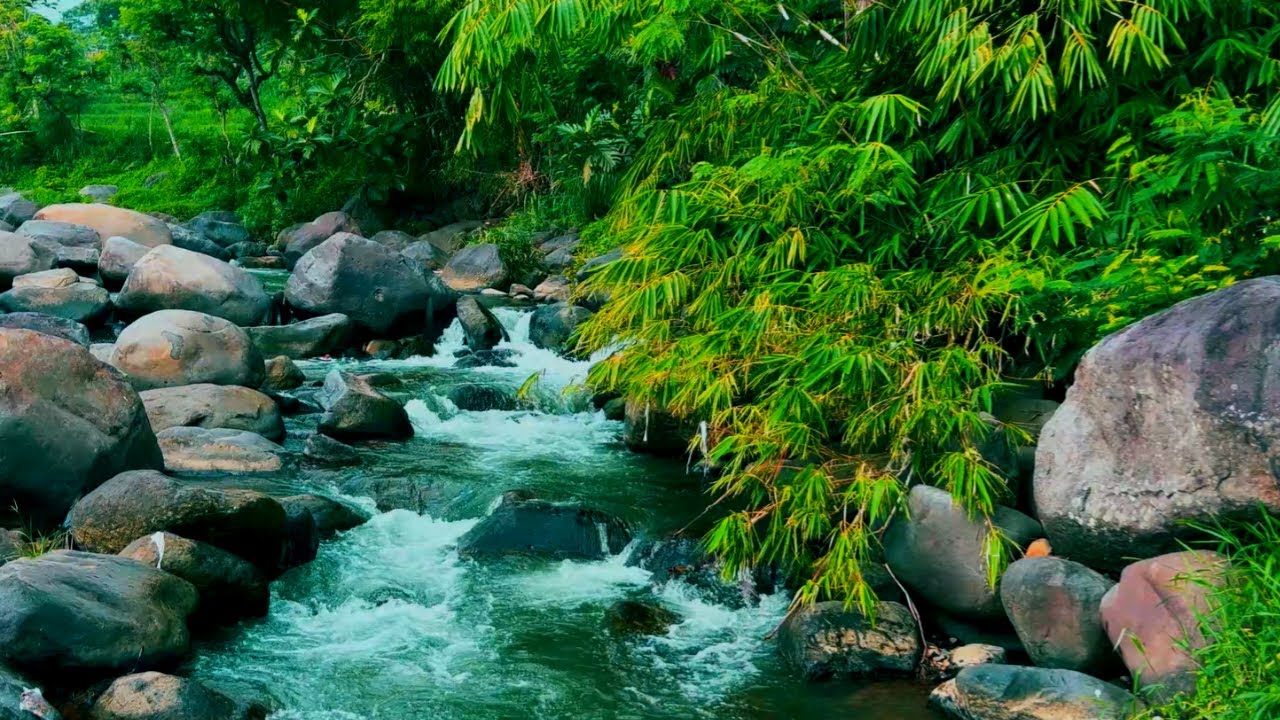 Calm Mountain River Ambience - 11 Hour Nature Sounds for Sleeping, Studying, and Relaxing