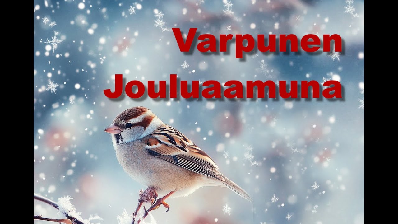 Varpunen Jouluaamuna