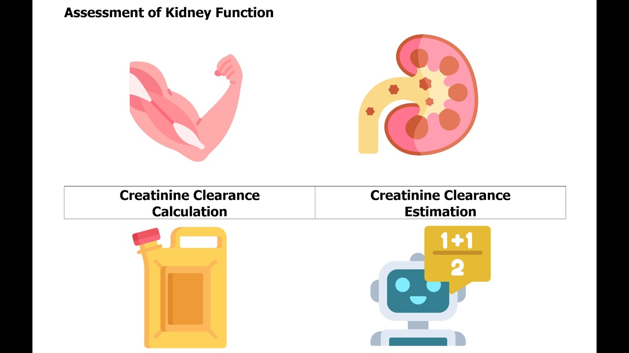 Exercise (5) Estimation of Kidney Function Using Cockcroft and Gualt Equation