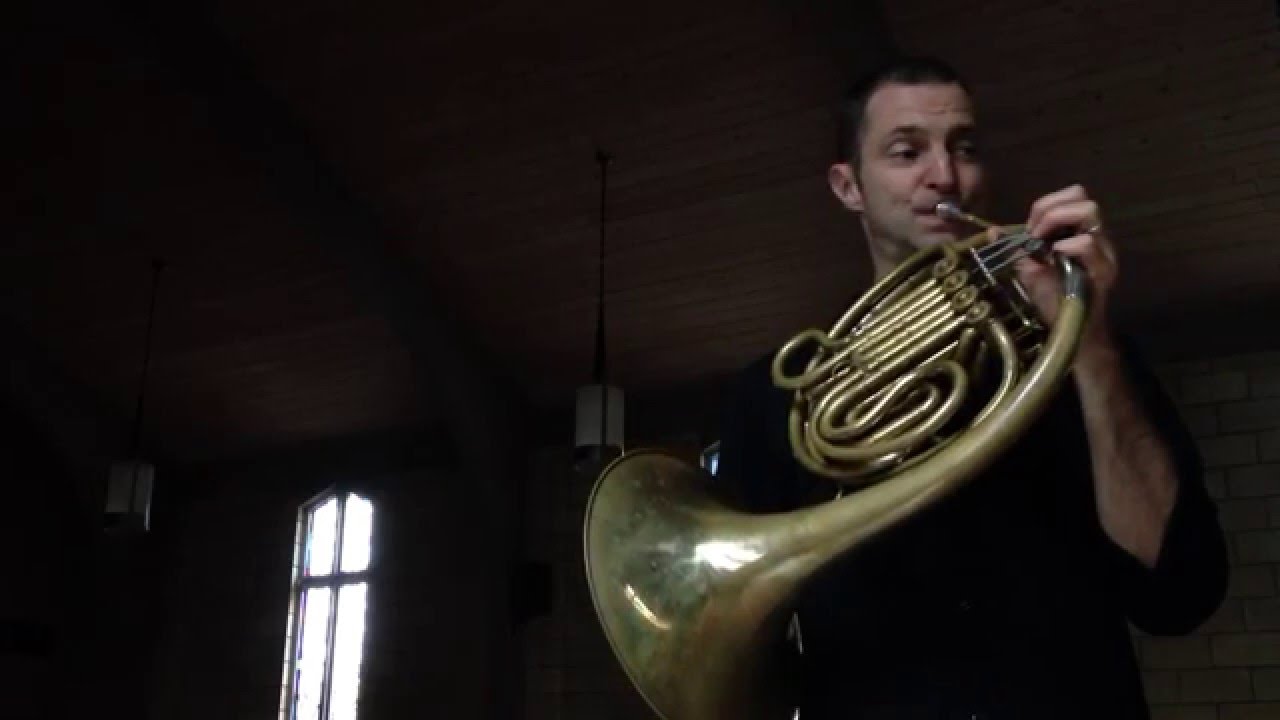 Suite No. 5 for Solo Cello (Sarabande) - J.S. Bach | Matt Monroe, horn