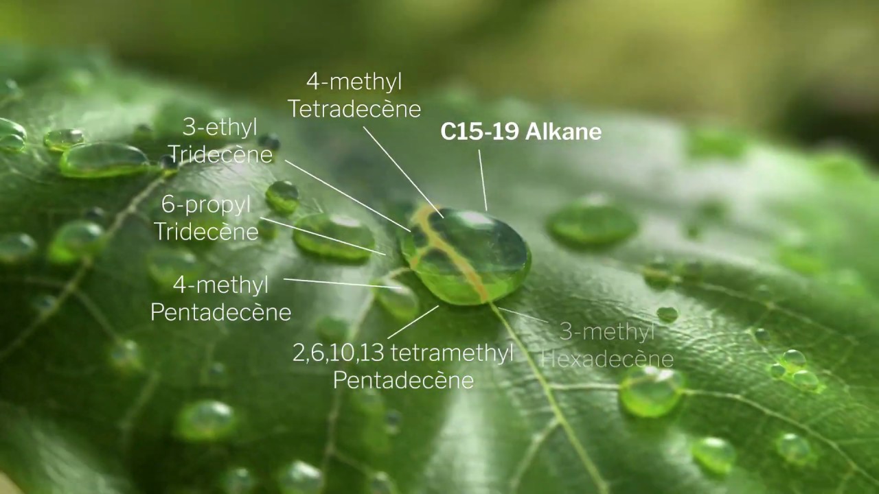 EMOGREEN™, Nature-made Chemistry
