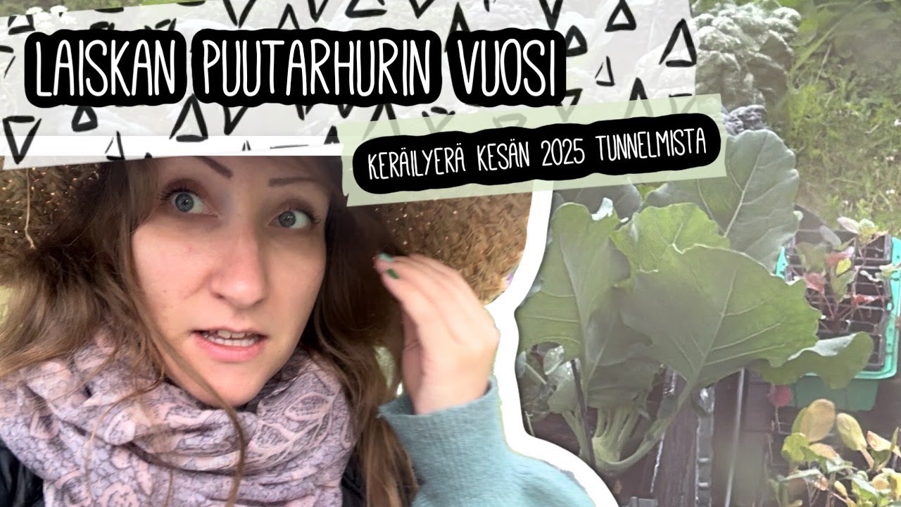 Palstaa ja puutarhaa kesä 2025