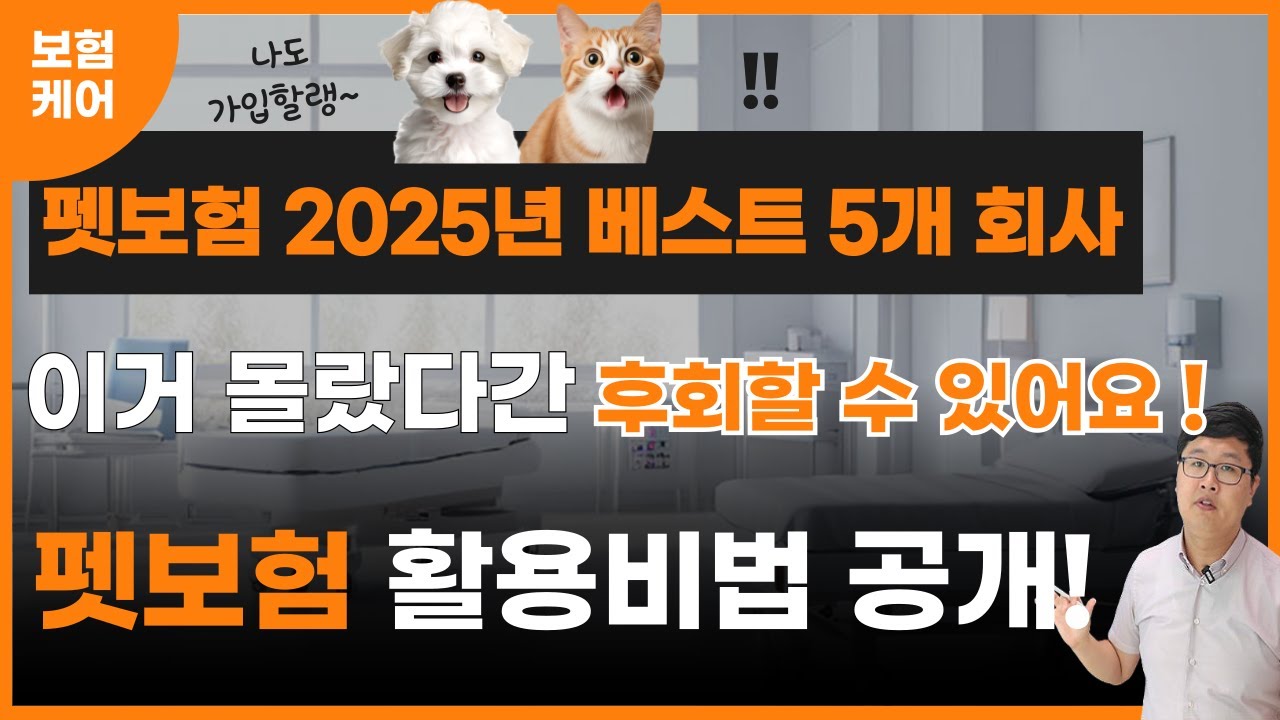 펫보험 추천 2025년 현시점 유리한 베스트 5개 회사 전격 비교했습니다 우리 아이에게 맞는 회사는?