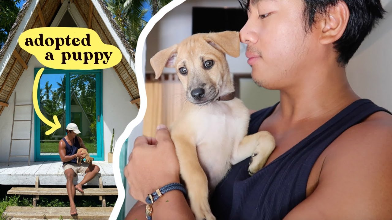 We adopted a puppy + Got our first PR package!!!