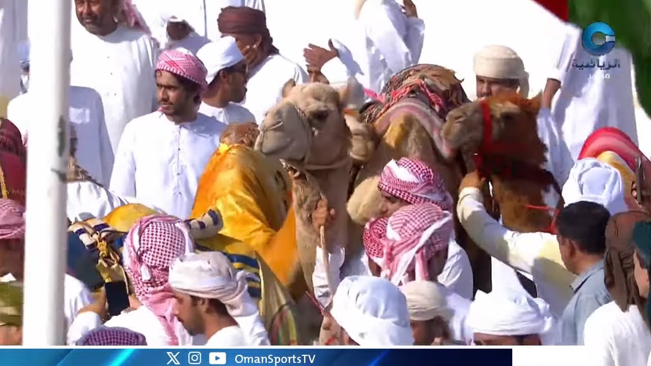 بث مباشر | مهرجان الأبيض الأهلي السنوي الثالث عشر لسباقات الهجن 2025م