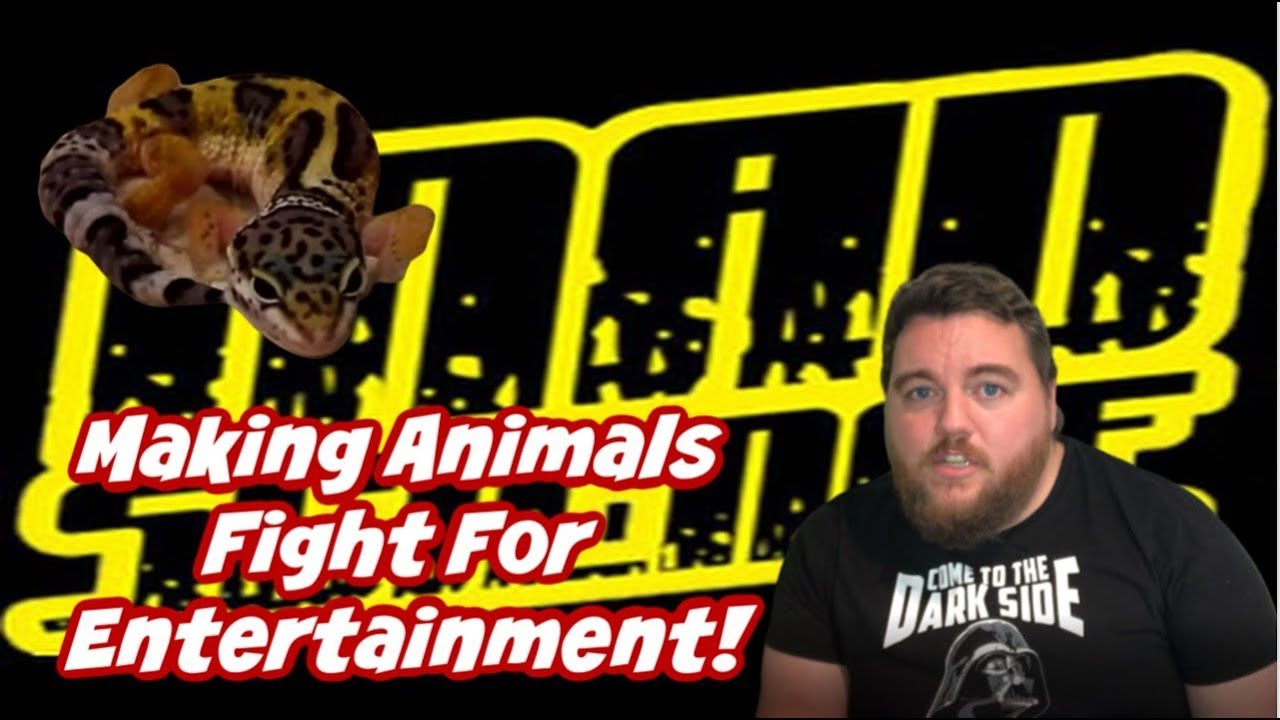 Mad Science: A Channel That Treats Animals Like Props