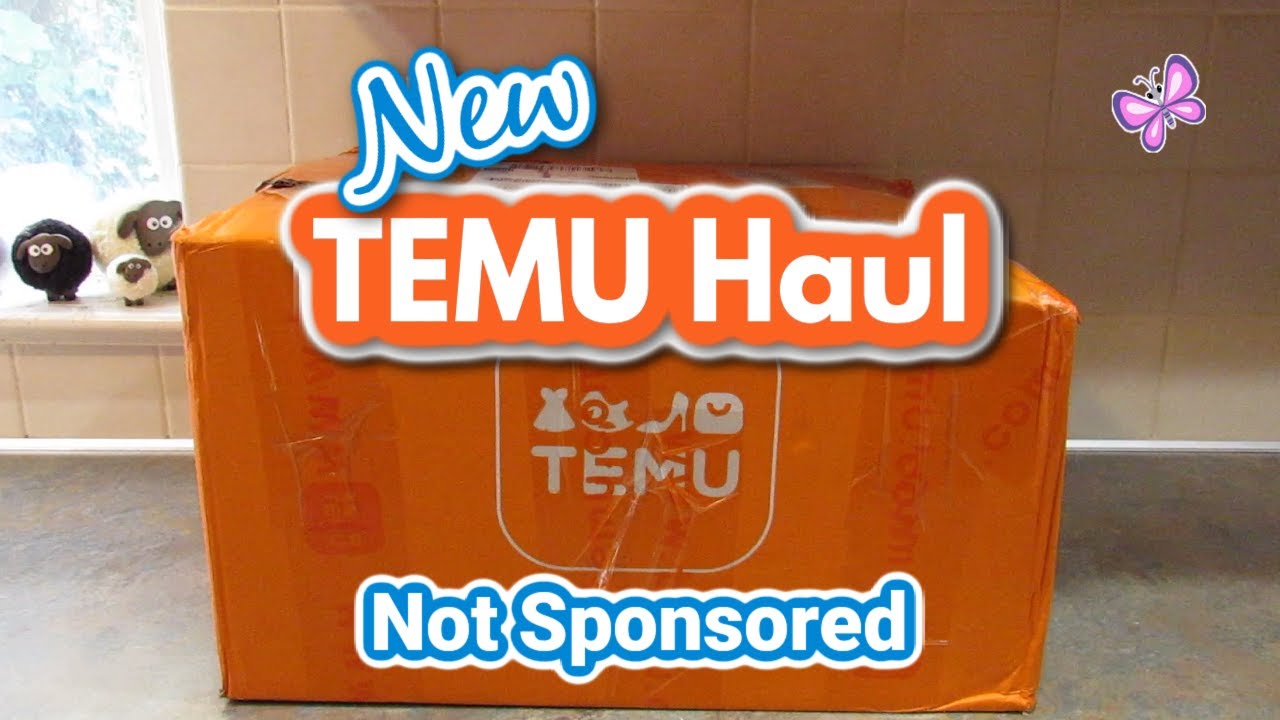 New TEMU Haul!  NOT SPONSORED! Check out all the fun things I got!