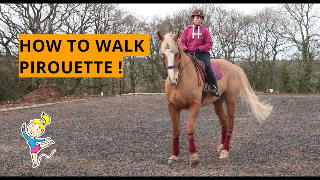 HOW TO WALK PIROUETTE - DRESSAGE VLOG