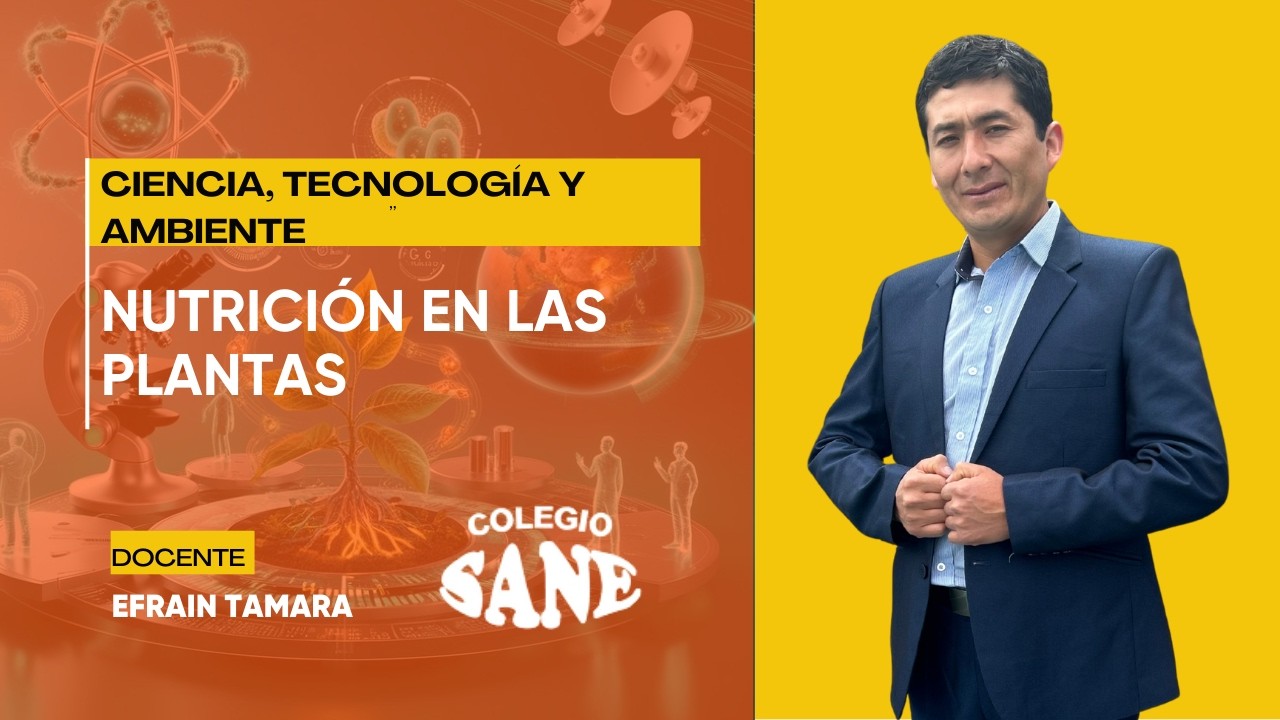 C.T.A. / NUTRICIÓN EN LAS PLANTAS / 1º II BIM / 15 - 02