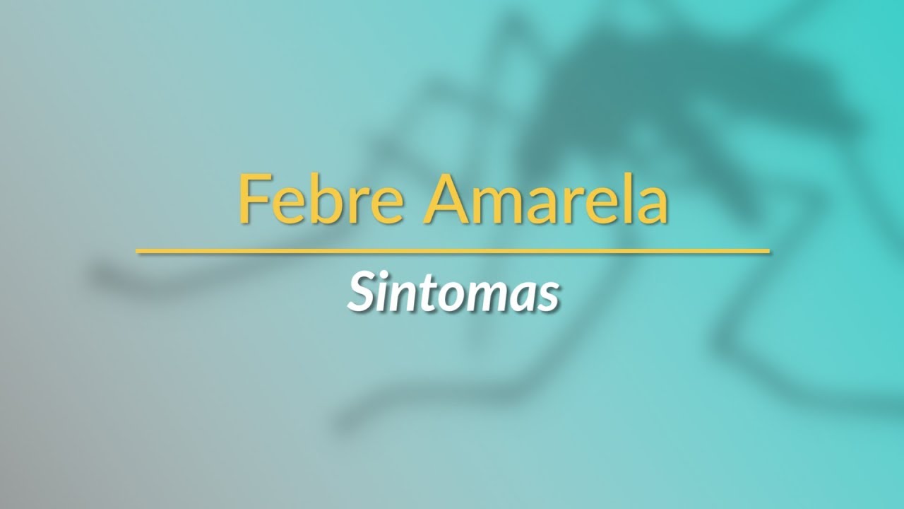 Febre Amarela | Sintomas