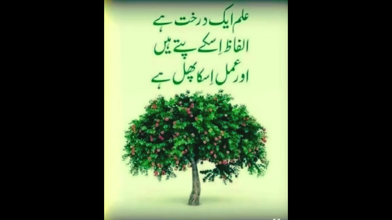 ll Looli chana ma dil go shaad vasia ll💚KASHMIRI SUFI SONG 💚KALAM💚🌹GHULAM-E-KHALIL🌹💚#sufishairi 