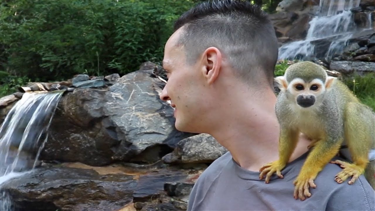 Baby Monkey oLLie Camping Adventure | Meeting New People! | (Story 2)