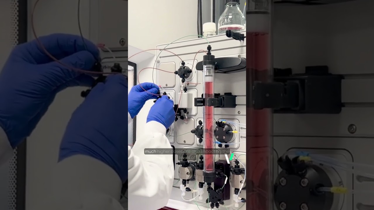 Why Purity Matters in Lentiviral Vector Development | VIVEbiotech