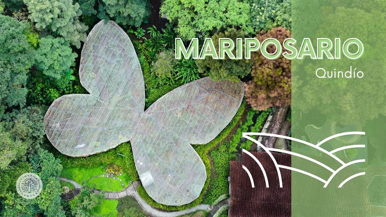 Mariposas de Colombia: ¿dónde verlas y fotografiarlas? Jardín Botánico del Quindío