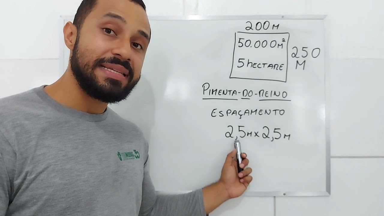 Pimenta-do-reino | Como calcular quantas plantas você pode ter na sua fazenda