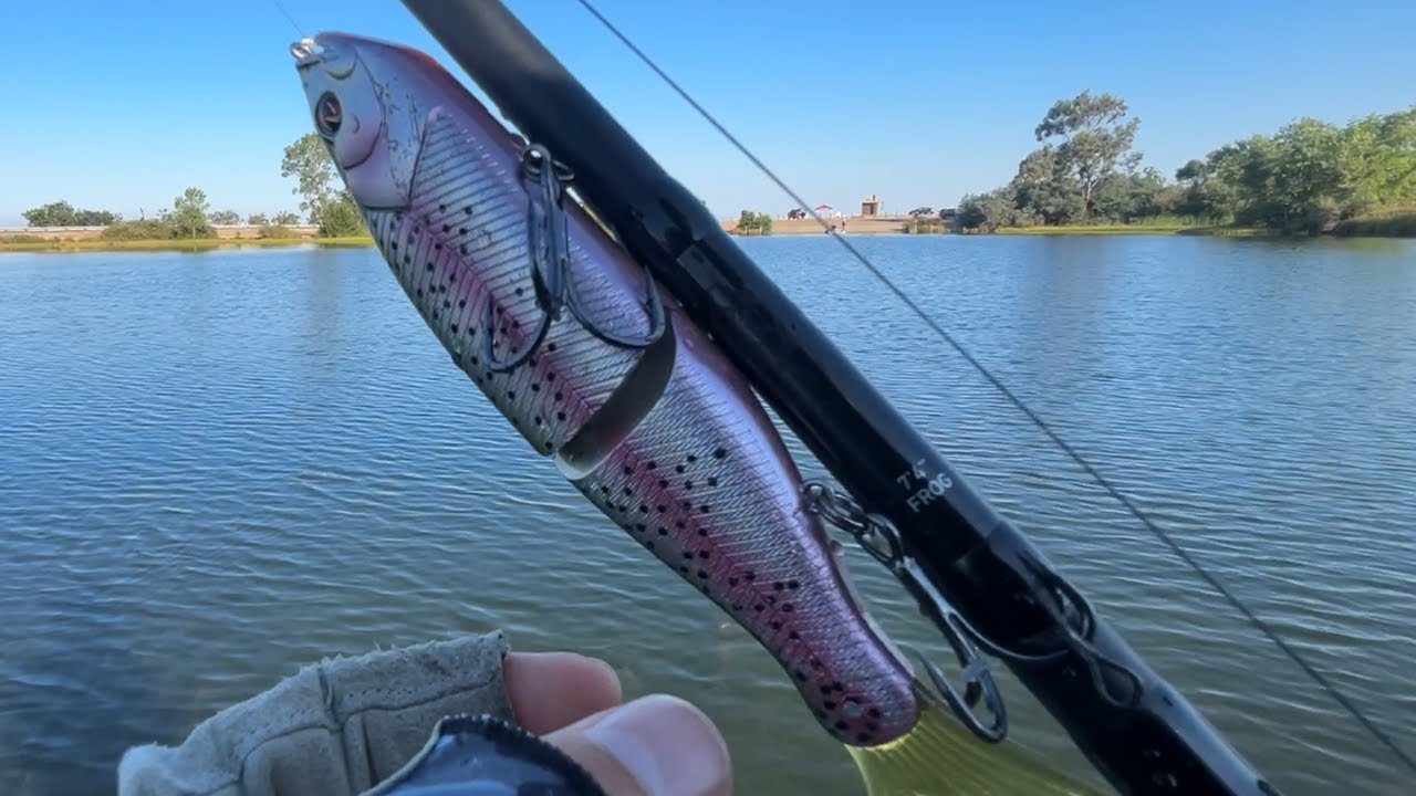 Big Bait = Big Fish | Rancho Seco