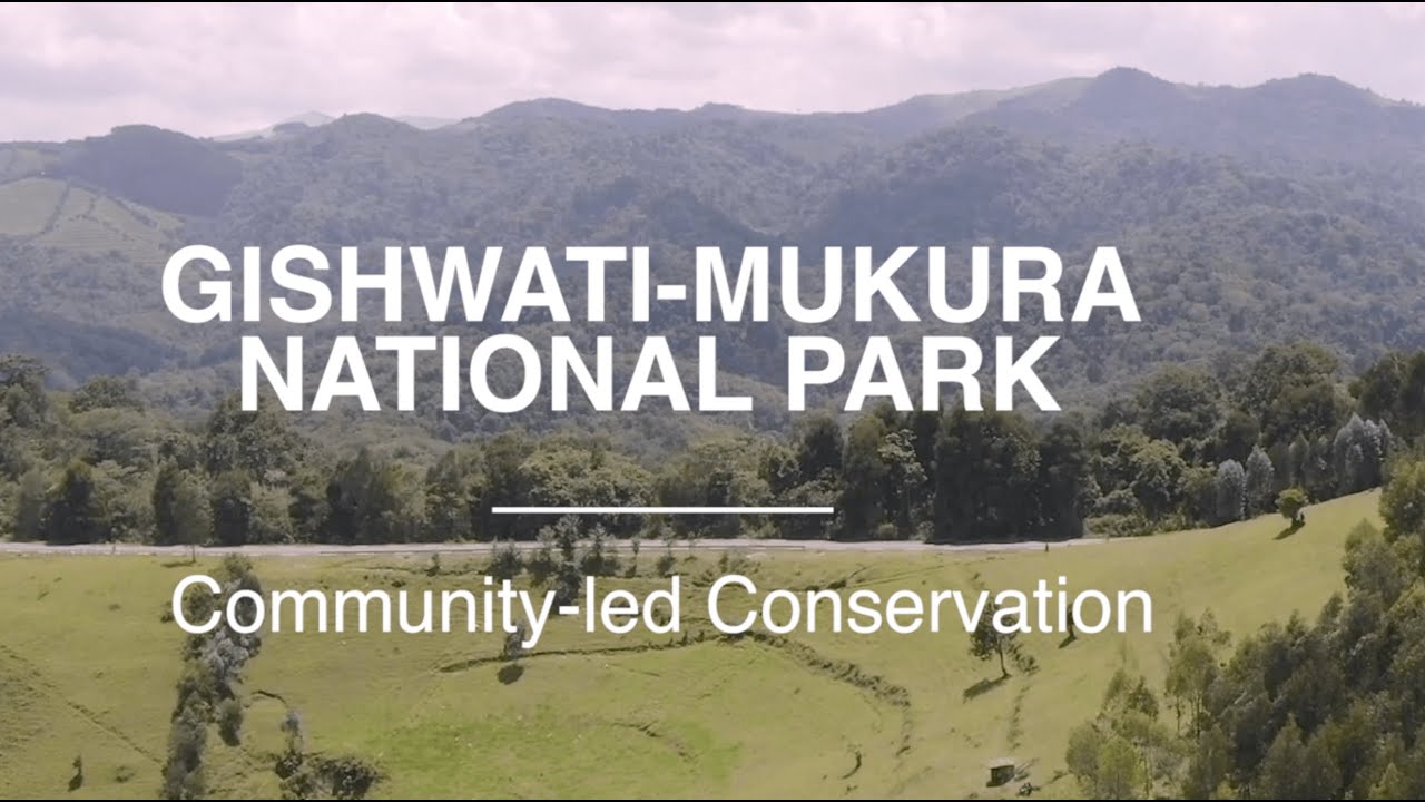 Kwita Izina 2021: Gishwati-Mukura National Park - A story of community-led conservation