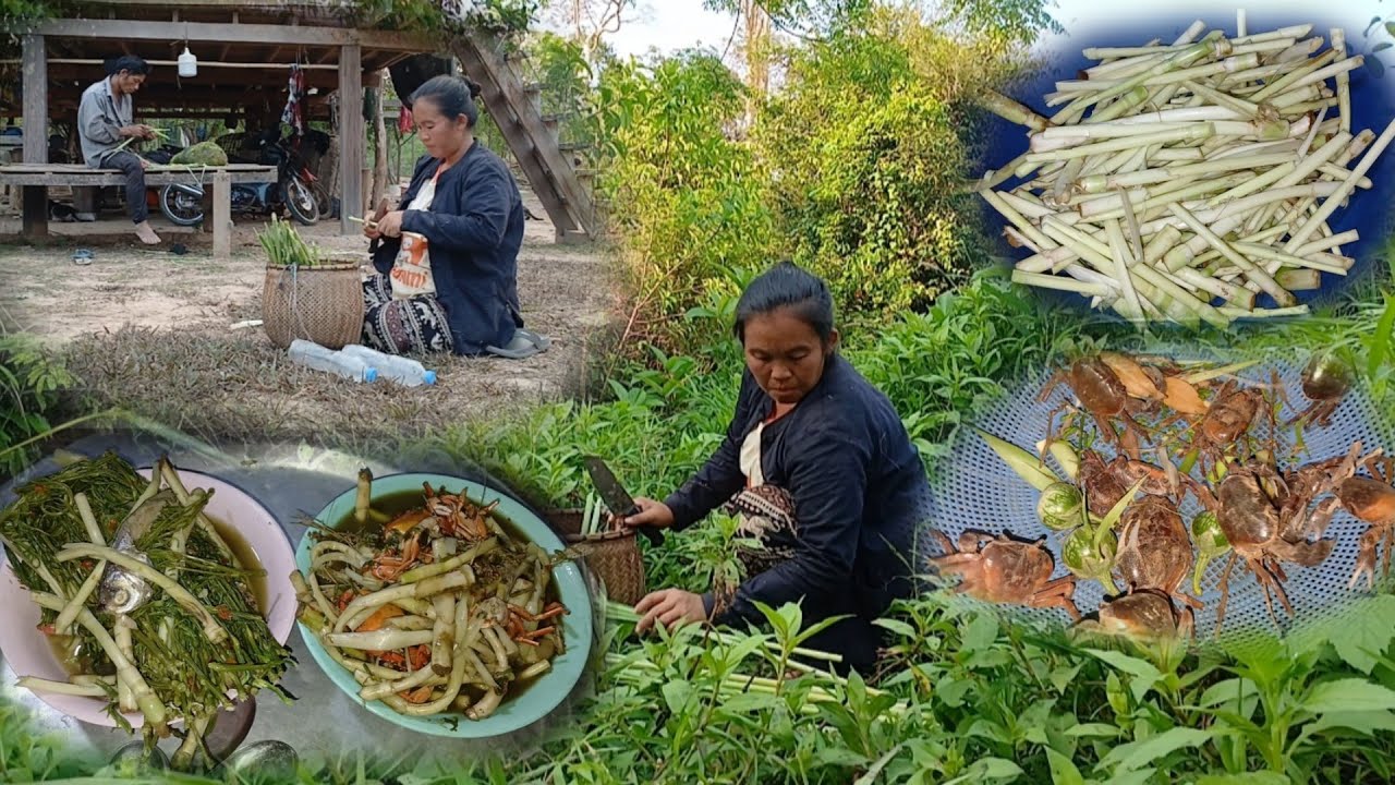 19 มีนาคม ค.ศ. 2026แกงกาปูแดงใส่นางเล่า//ແກງກາປູແດງໃສ່ນາງເລົ່າ