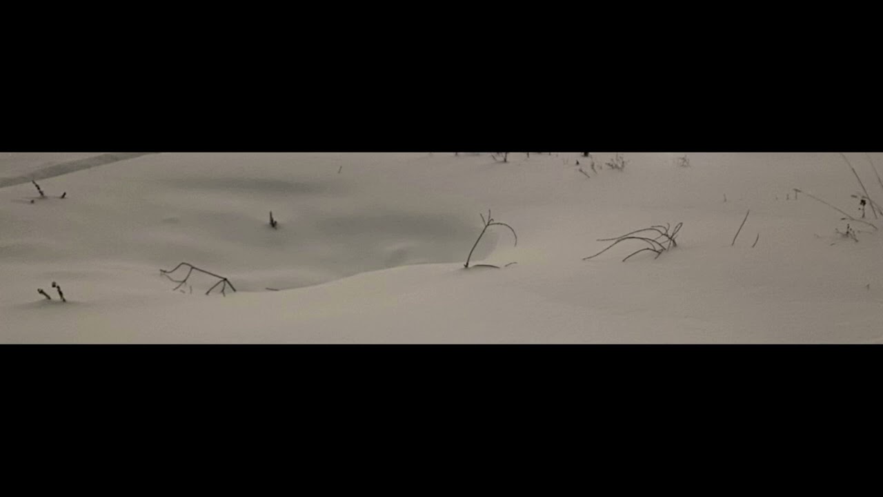 [untitled] 3