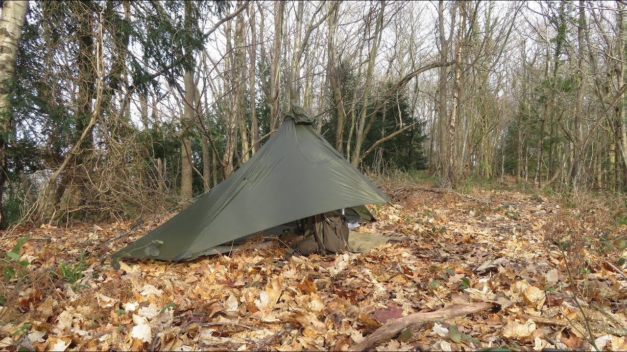 Leigh Woods hike Feb '22. Buzzards, wild garlic, Gatewood Cape(+Serenity), Friar's pouch, cormorants