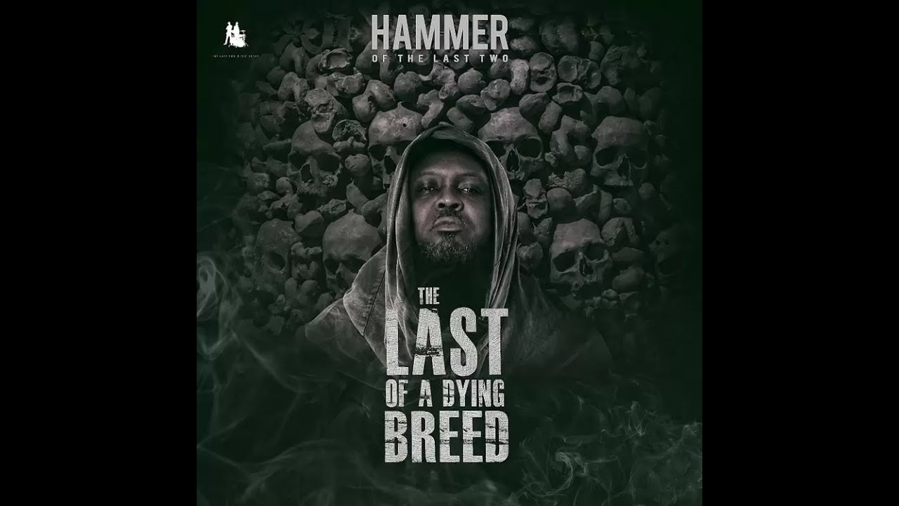 HAMMER - EFFORTLESS FT. TEEPHLOW, MEDIKAL, PURE AKAN & WORLASI (AUDIO SLIDE)