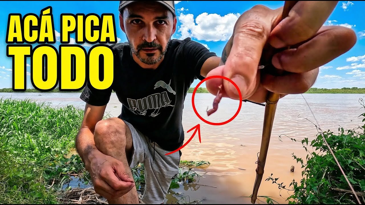 👉 ESTE LUGAR GRATIS NOS SORPRENDIÓ | ACÁ PICA TODO | Sin saber fuimos a la casa de los lagartos