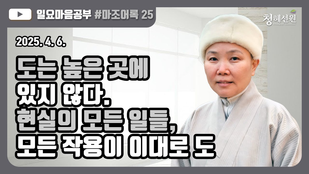 2025.04.06. [청혜선원] 일요공부ㅣ마조어록  제25회  17. 온갖 작용이 모두 도: 