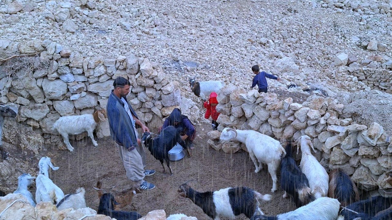 🌧🌨🐐Nomadic life Heavy rain in the mountains Milking sheep in the mountains
