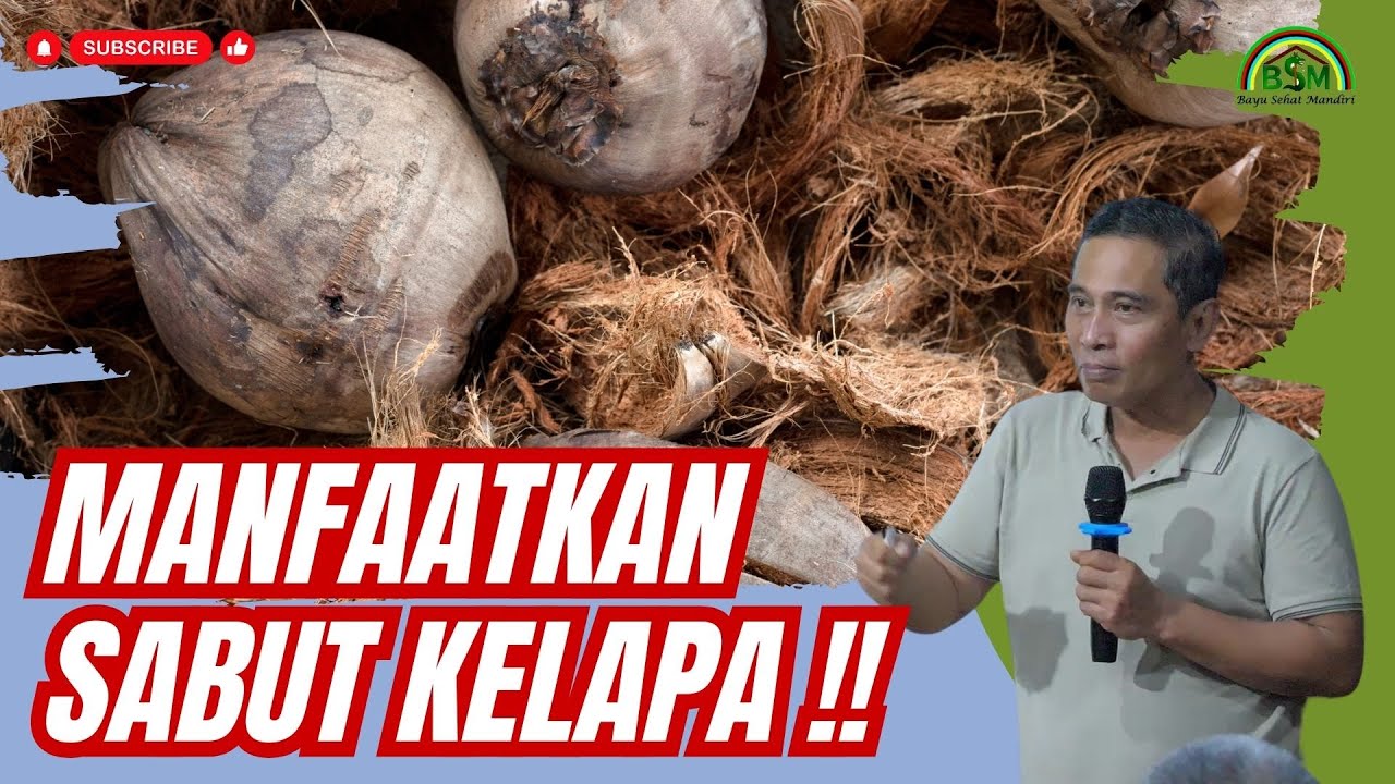 CARA MENGOLAH SABUT KELAPA MENJADI PUPUK #bayudiningrat #pelatihanbsm B5