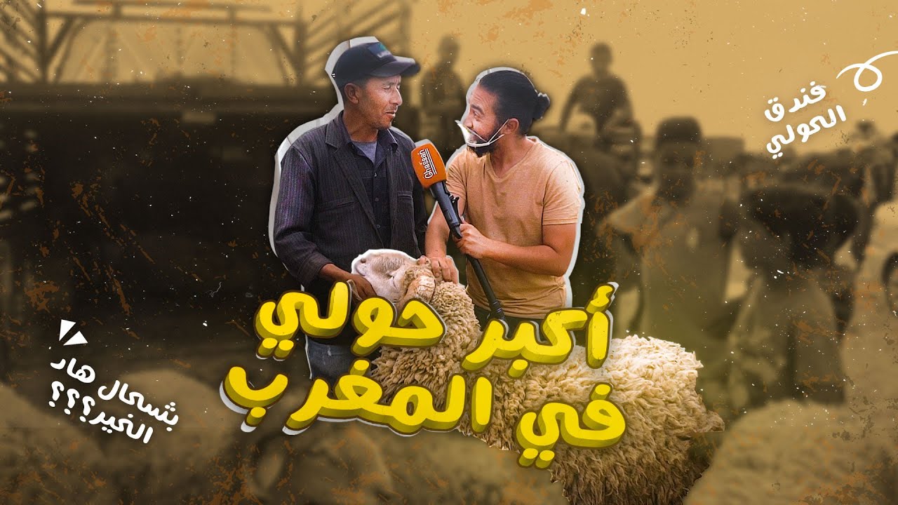 أكبر حولي في المغرب micro ghassan