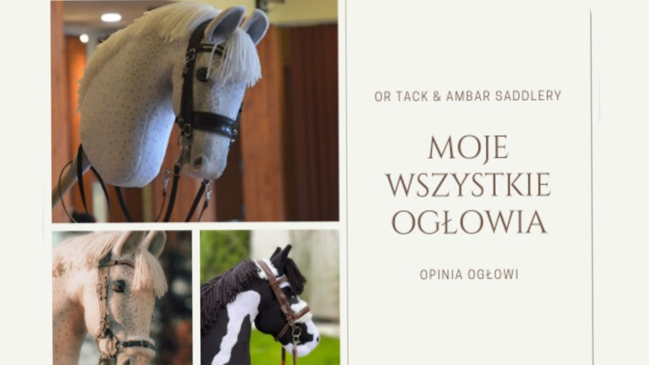 Wszystkie moje ogłowia 🤝| Ambar Saddlery, OR Tack, Sarisa Equipment, MCH | szczera opinia