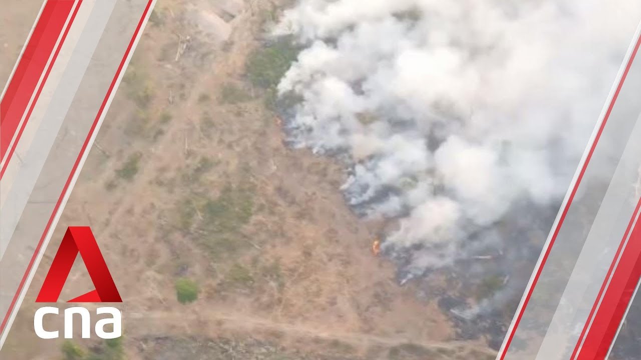 Brazil cannot turn a blind eye to illegal burning in Amazon rainforest: Expert