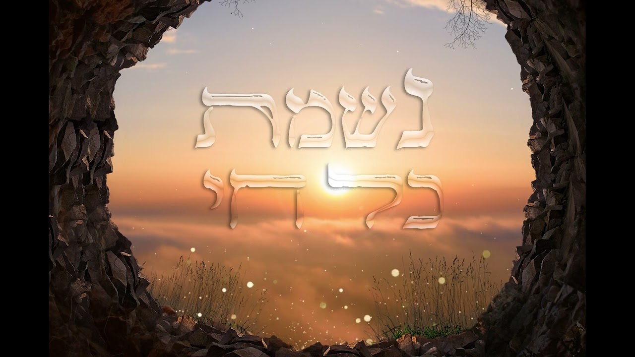נשמת כל חי