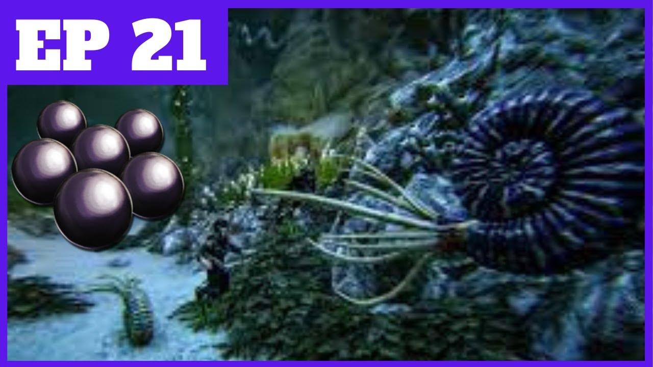 Ark Fjordur #21 Les Perles Noires