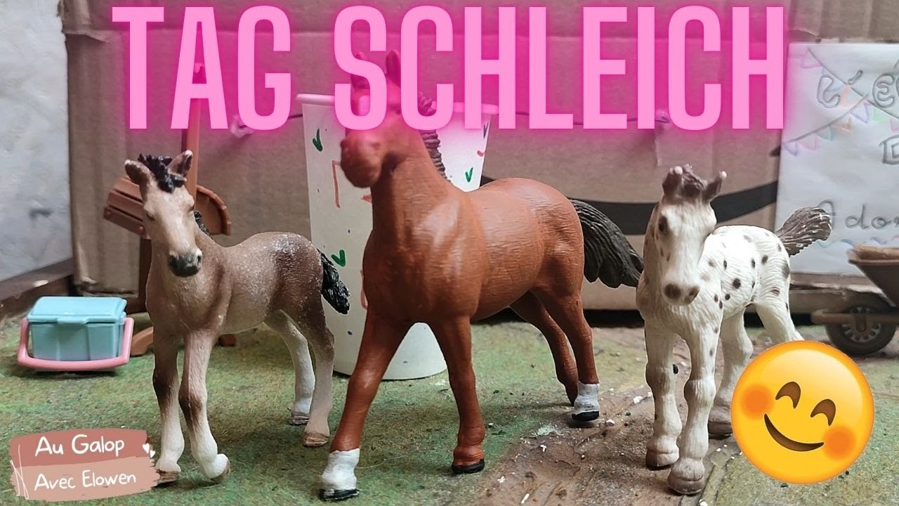 Tag Schleich de mon centre équestre ! #diy #schleich #tag #toys