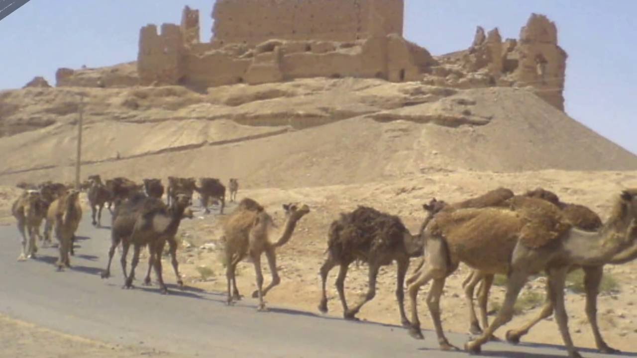 مدينة الميادين في دير الزور