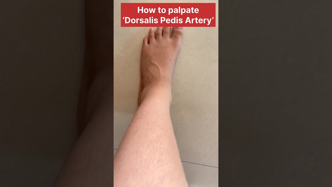 Palpate Dorsalis Pedis Artery in 50 seconds #anatomyshorts