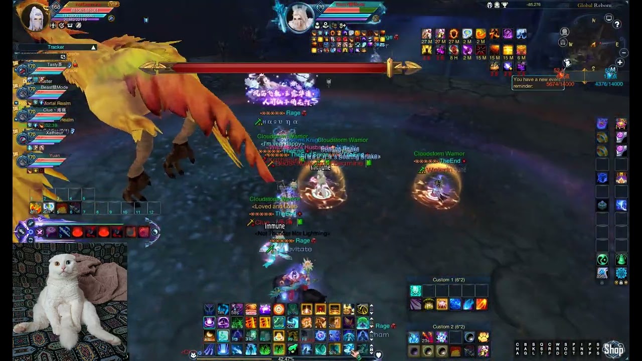 TW, Fort, boss 26.05