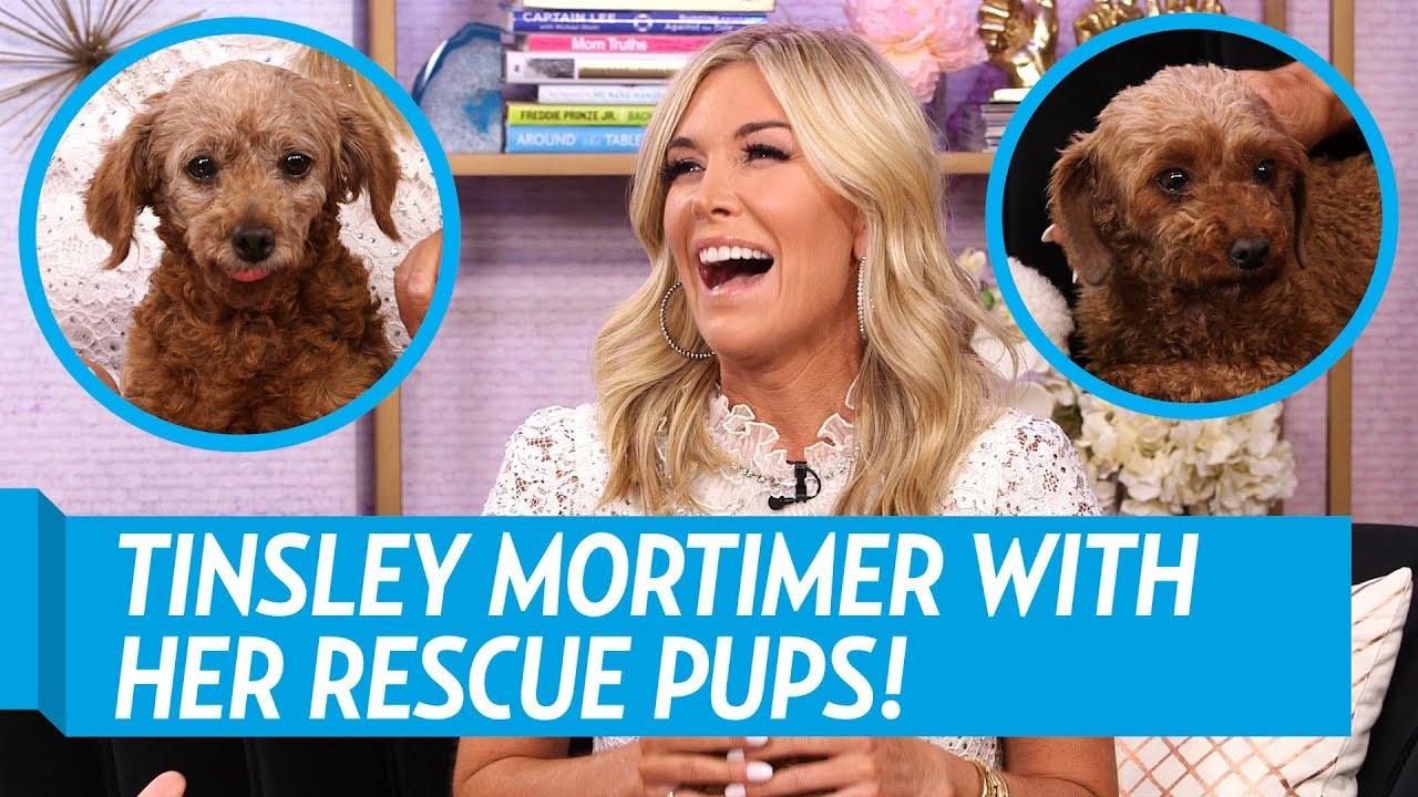 RHONY’s Tinsley Mortimer With Her Rescued Pups From Yulin