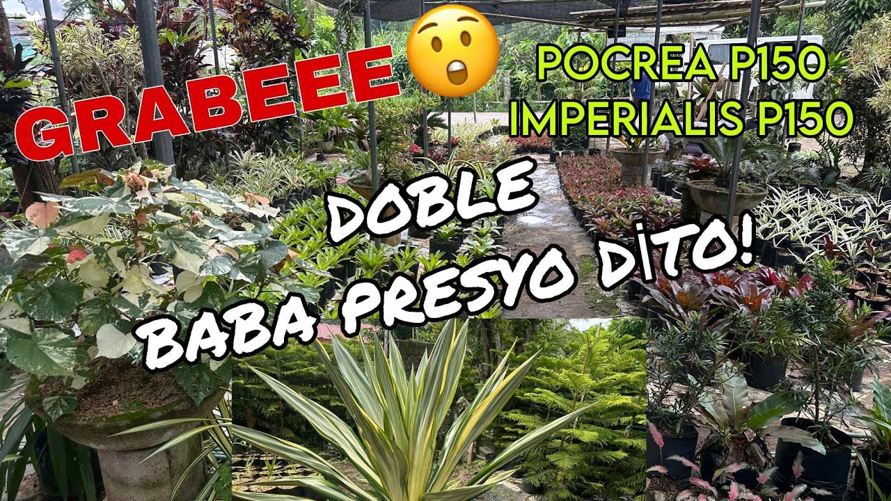 JACKPOT 1ST TYM MAVLOG! DOBLE BABA PRESYO!! #ROLLYANDZHENBLESSEDGARDEN