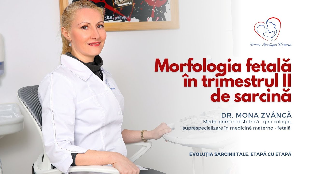 Morfologia fetală în trimestrul II de sarcină I Dr. Mona Zvâncă I Femmeboutiquemedical.com