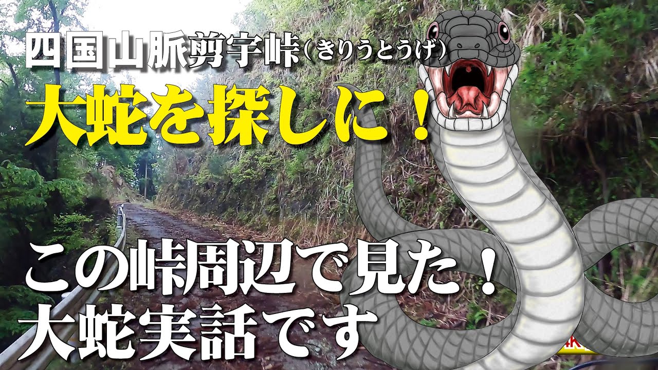 大蛇はいた！きりう峠（ 剪宇峠）剣山 の痕跡！車載動画、高画質 4K/60P